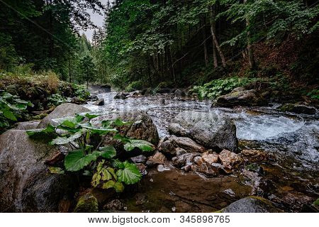 Mountain Stream In High Tatras National Park, Poland