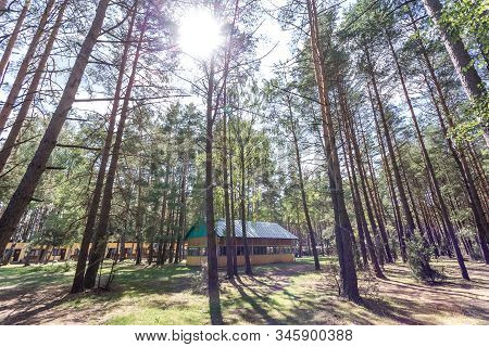 Wooden Camping Arbors  With All Conviniences In A Pine Forest