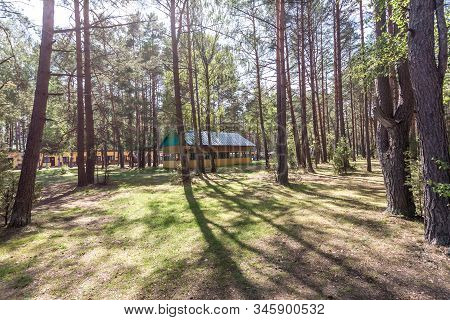 Wooden Camping Arbors  With All Conviniences In A Pine Forest