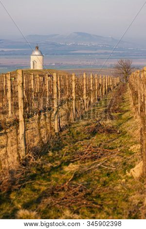 chapel with vineyard near Velke Bilovice, Czech Republic