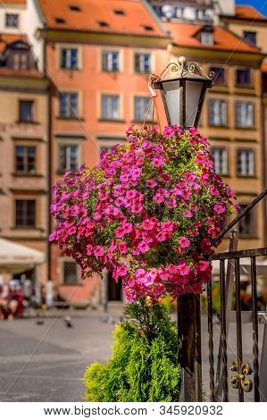 Warsaw, Poland, Flowers, Colorful Houses In Market Square In The Old Town Of Polish Capital