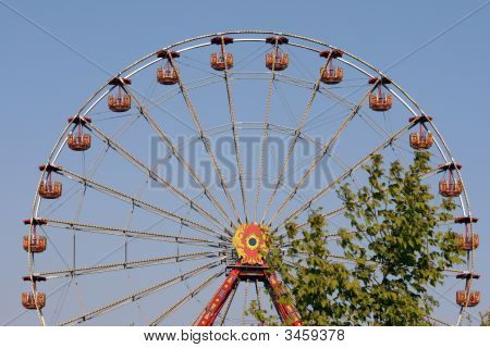 Divertimenti e albero
