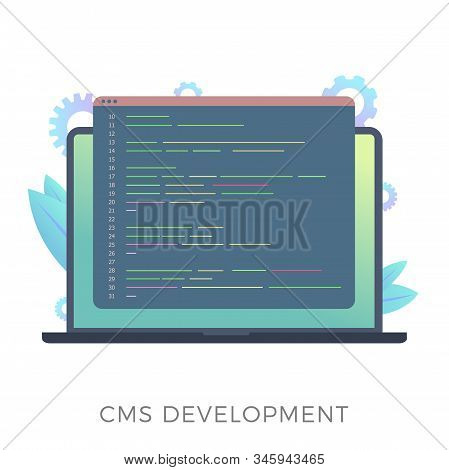 Website Content Management System (cms) Development Flat Vector Icon. Programming And Installation C