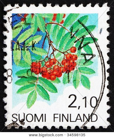 Frimærke Finland 1991 europæiske Rowan frugt