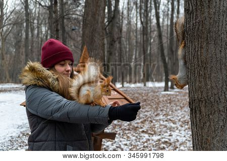Girl In The Park In Winter Feeds Two Wild Fluffy Squirrels In Her Arms