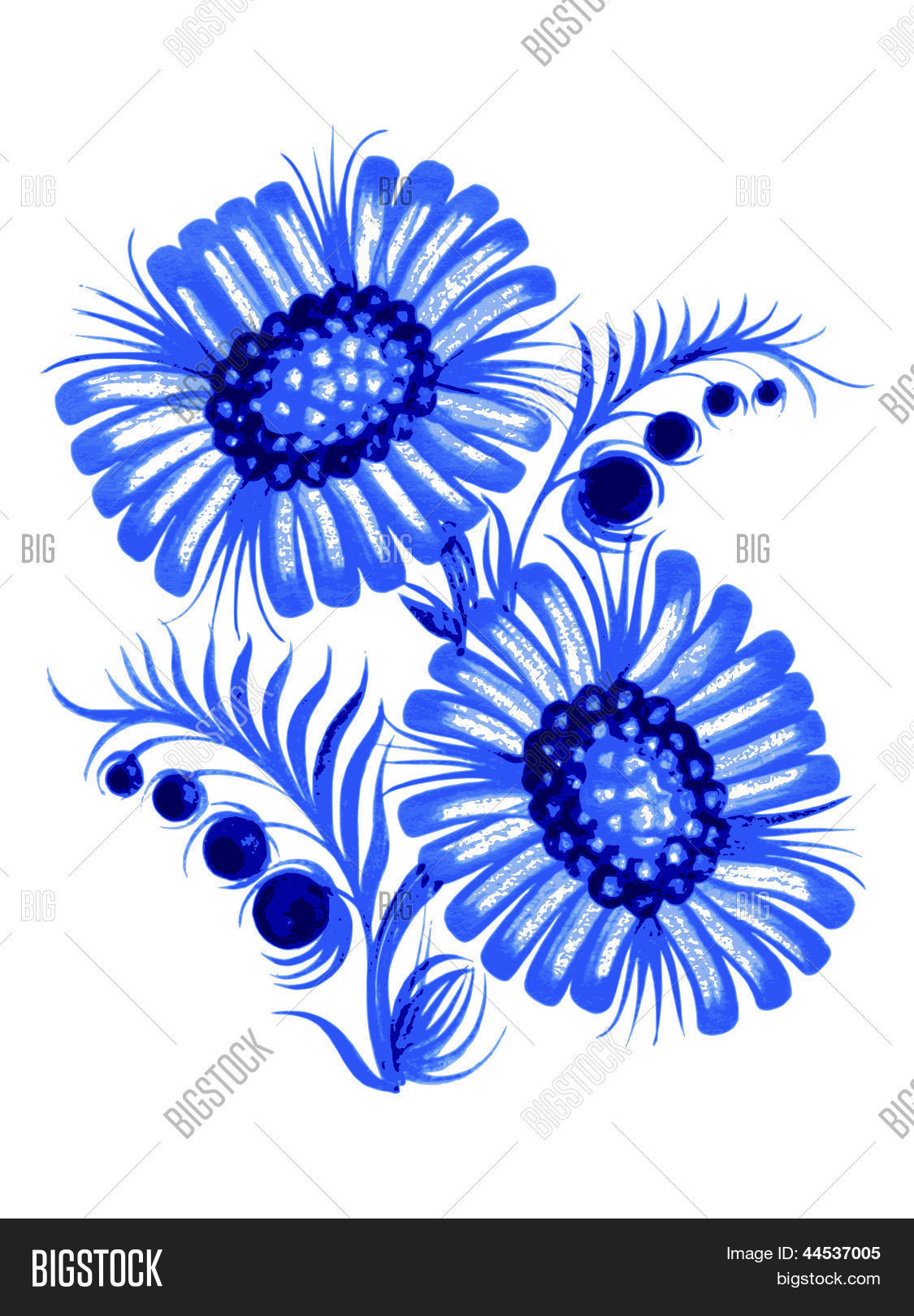 Image Preview