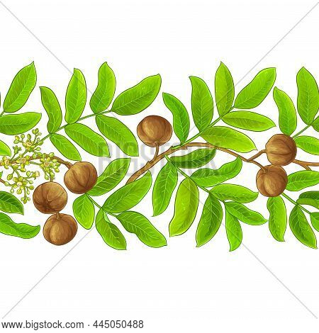 Andiroba Branches Vector Pattern On White Background
