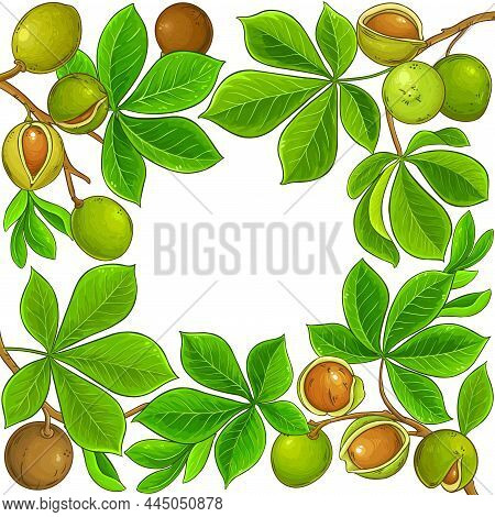 Mongongo Branches Vector Frame On White Background