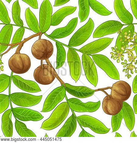 Andiroba Branches Vector Pattern On White Background