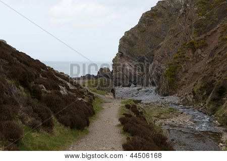 Heddon Valley