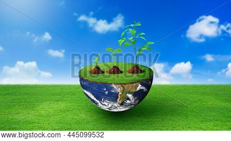 Plants Of Different Sizes On Half Sphere With Green Grass On. Nature And Blue Sky Background. Enviro