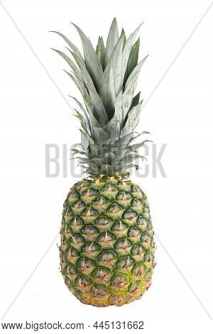 Single Whole Pineapple Isolated On White Background. Pineapple With Leaves Isolate On White. Whole P