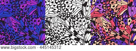 Vector Seamless Pattern With A Wing Of A Butterfly, Three Color Variations. Can Be Used For Fabric, 