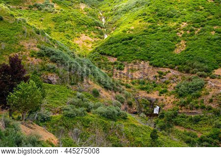 Spectacular Mountain Landscape Covered With Lush Forest.