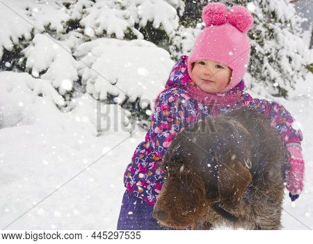 Caucasian Child In Winter Clothing Playing Outdoors With Dog Drathaar