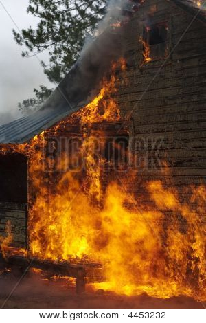 Feuer