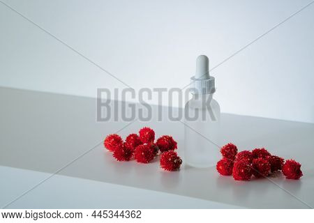 Face Serum In Matte Glass Bottle With A Dropper With Red Globe Amaranths. Dried Flowers Cosmetics Te