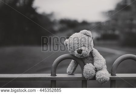 Black And White Lost Teddy Bear Sitting On Bench At Playground In Gloomy Day,lonely And Sad Face Bea