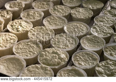 Process Of Making Fresh White Soft Ricotta Whey Cheese On Small Cheese Farm In Parma, Italy