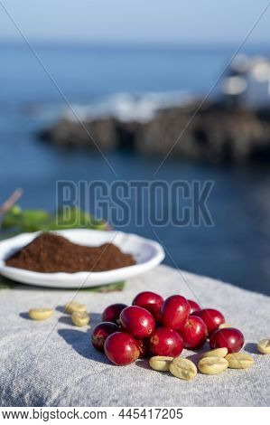 Red Ripe Arabica Coffee Berries, Green Coffee Beands, Leaves And Roasted Ground Coffee In Bowl And B