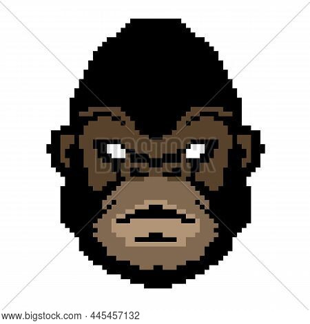 Nft Rhe Art A Cryptopunk A Monkey.