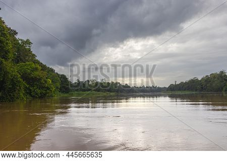 On A River Cruise Through The Tropical Rainforest Of Borneo, Malaysia. Lush Vegetation And Huge Trop