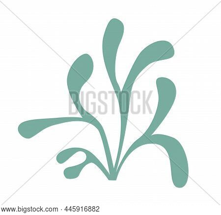 The Logo Of The Plant Kingdom, Algae