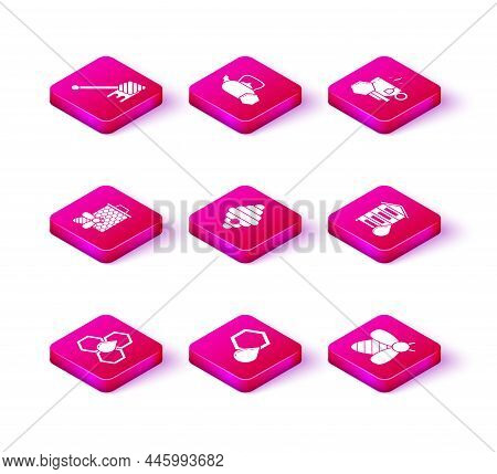 Set Honeycomb, Bee And Honeycomb, Hive For Bees, Cup Of Tea With And Tea Kettle Icon. Vector