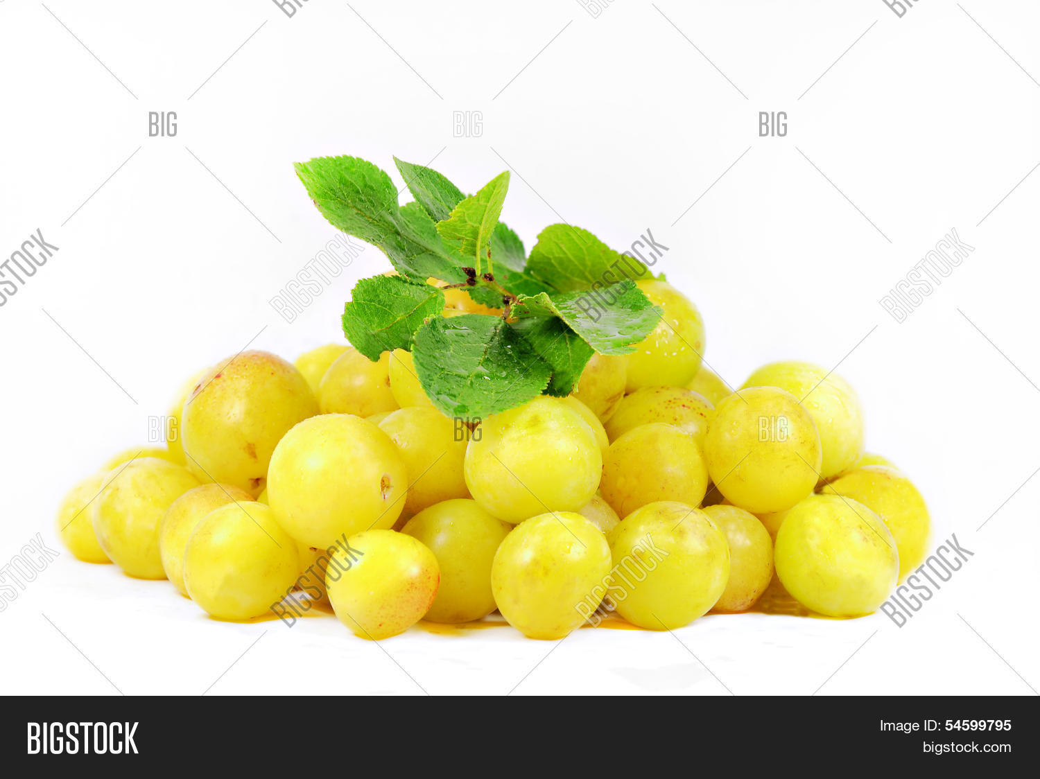 Image Preview