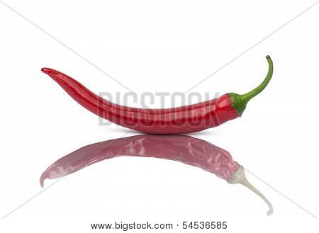 Dried And Fresh Chili Pepper