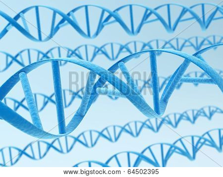 DNA Strands