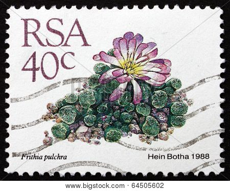 Postage Stamp South Africa 1988 Window Plants, Succulent Plant