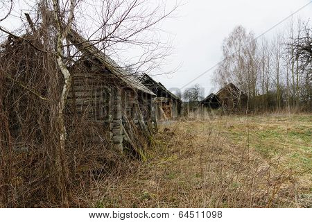 The Thrown House