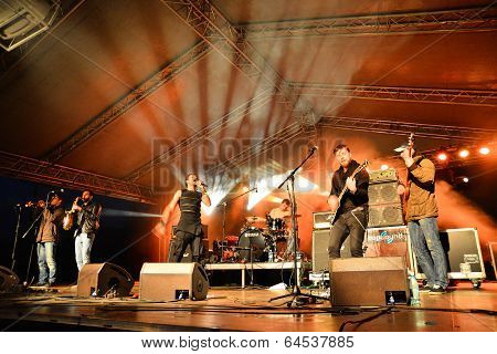 Reggae Band On Stage