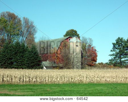 Autumn Barn