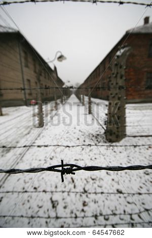 Barb wire in a WWII german prisoner camp