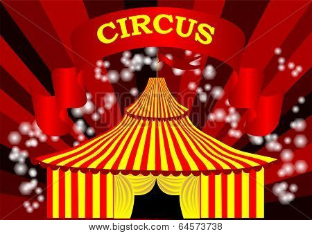 Circus