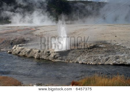 Yellowstone NP, Wyoming, Stati Uniti