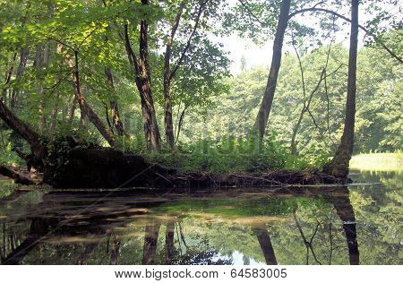 Near the springs of the river Bosna