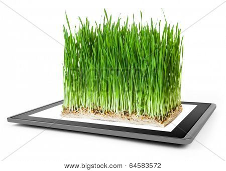 tablet computer like ipade and grasss on the white backgrounds. 