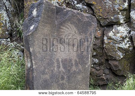 Native Indian Antelope Animal Petroglyph