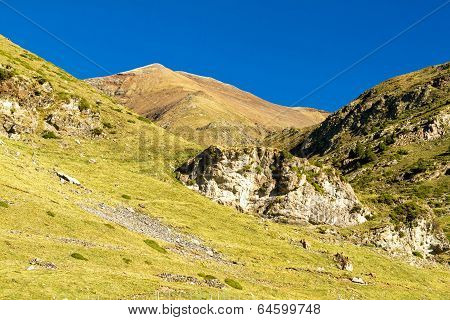 Mountain