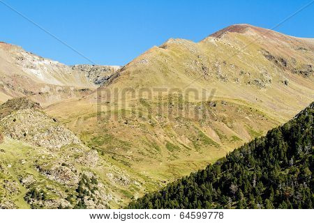 Mountain