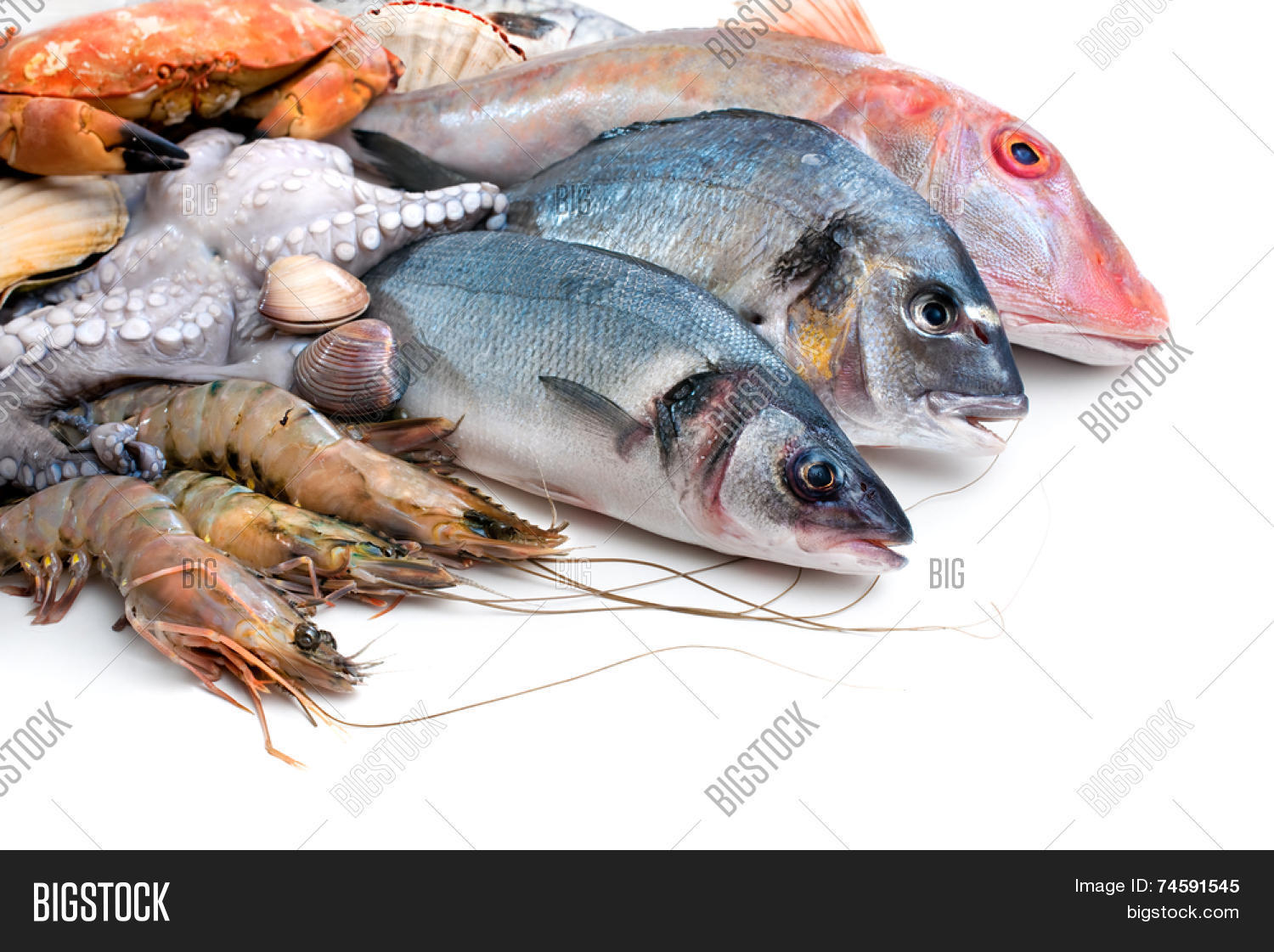 Fresh Catch Fish Other Image & Photo (Free Trial) Bigstock