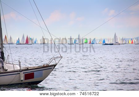 46 Barcolana Regatta