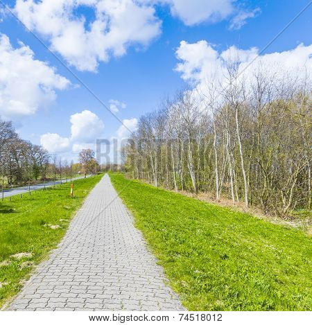 Levee With Sandy Path To Beach At Baltic Sea