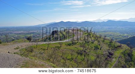 Almond Trees on the Hills Around Cartama