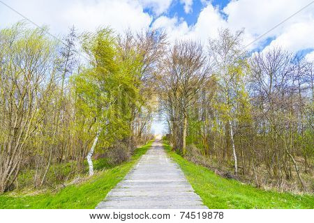 Levee With Sandy Path To Beach At Baltic Sea