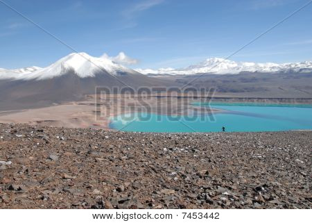 Laguna verde Atacama Çölü ve Licancabur yanardağ, Şili'de
