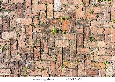 Red Brick Floor Background